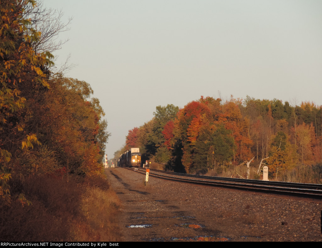 CSX 798 on I003 